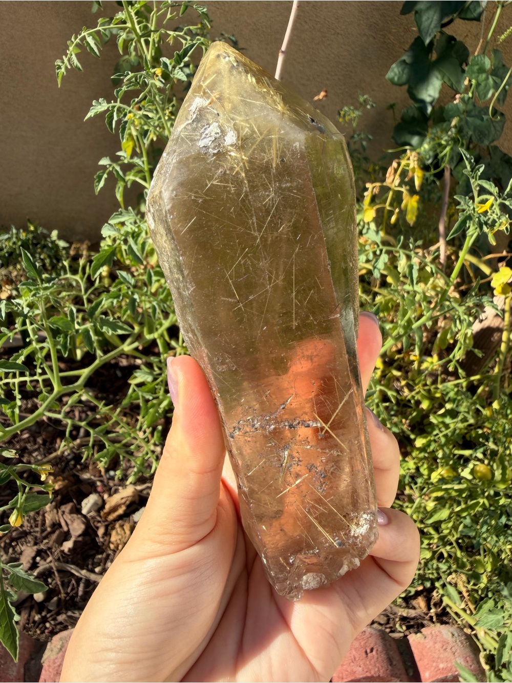 Large Natural Smoky Quartz Scepter Golden Rutile Crystal Point Mineral Specimen